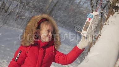 冬天公园里有个漂亮可爱的女孩，带着喂鸟器。 在树上喂鸟，寒假和假期概念，儿童